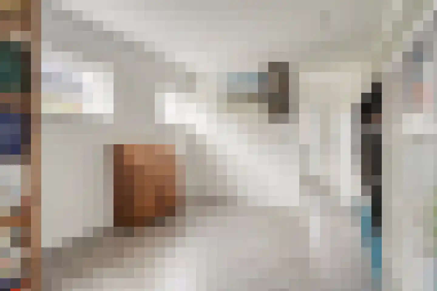 Weth.Zonnenbergstraat 6 Nieuwleusen thumbnail 26