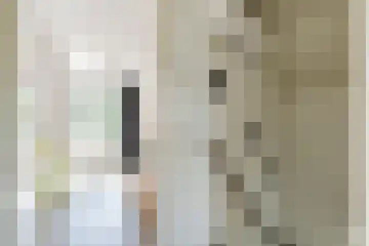 Weth.Zonnenbergstraat 6 Nieuwleusen thumbnail 27
