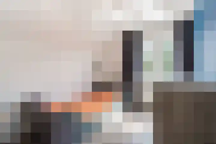 Weth.Zonnenbergstraat 6 Nieuwleusen thumbnail 29
