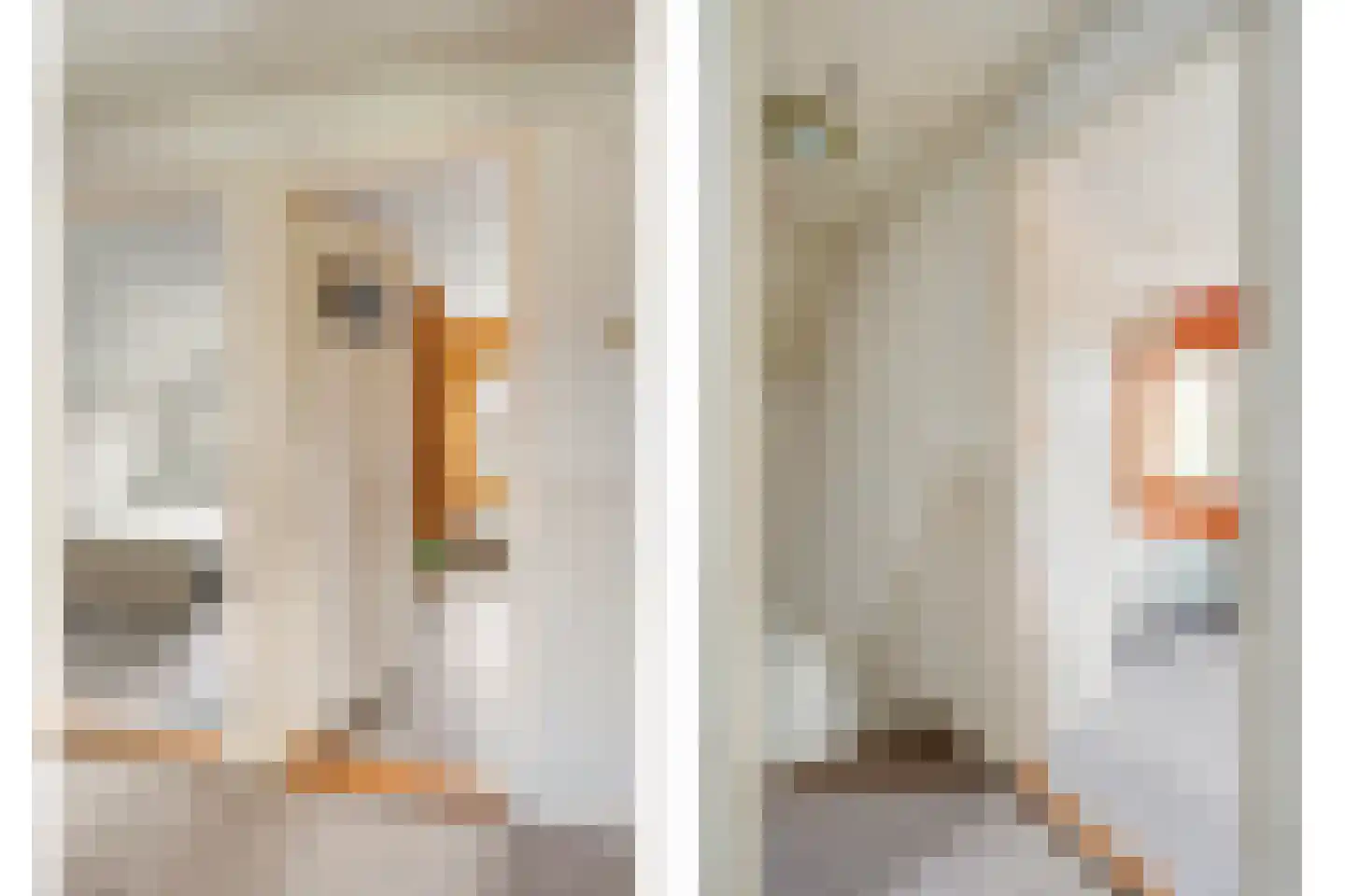 Weth.Zonnenbergstraat 6 Nieuwleusen thumbnail 32