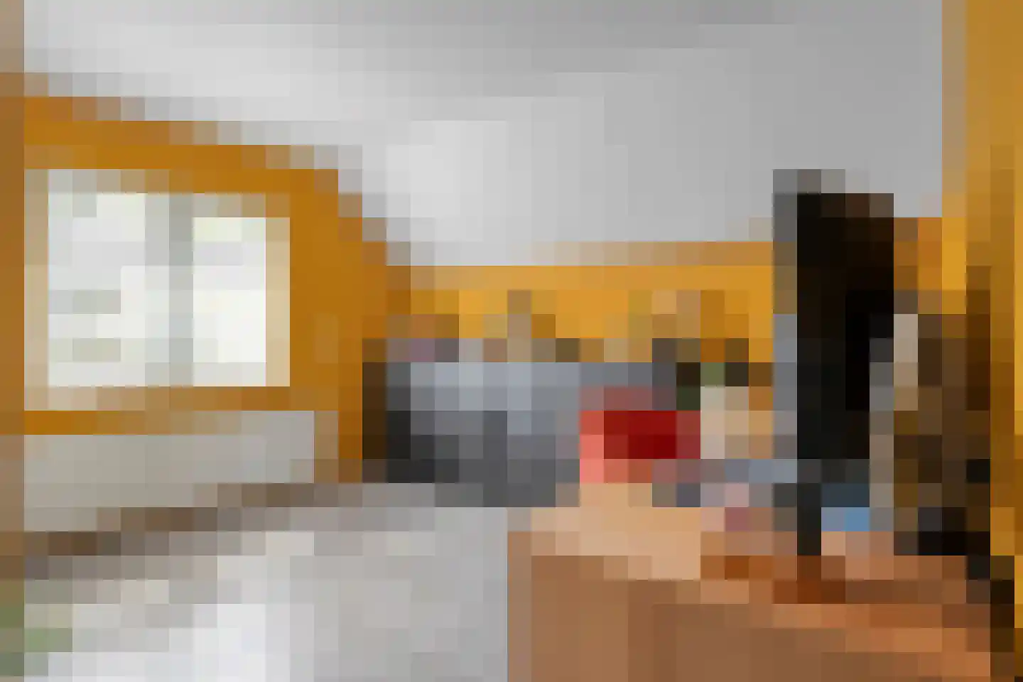 Weth.Zonnenbergstraat 6 Nieuwleusen thumbnail 33