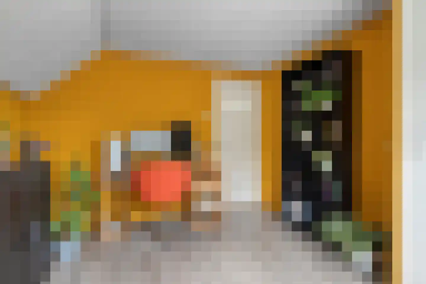 Weth.Zonnenbergstraat 6 Nieuwleusen thumbnail 34