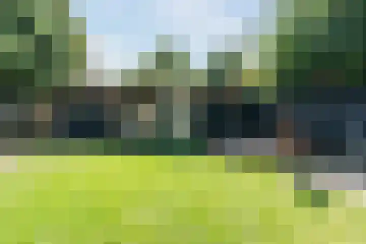 Weth.Zonnenbergstraat 6 Nieuwleusen thumbnail 35