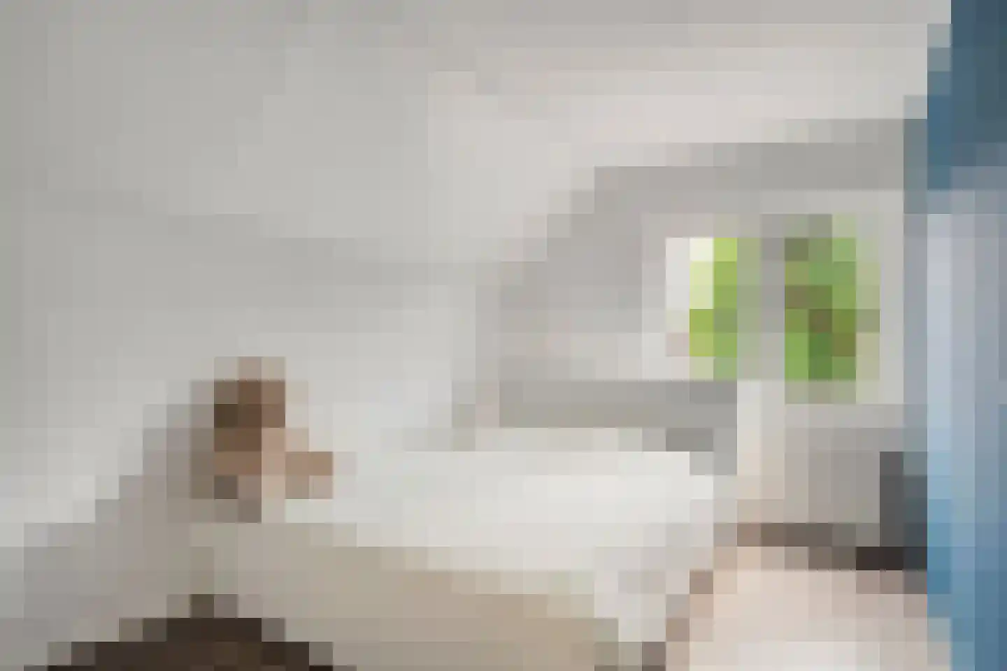 Weth.Zonnenbergstraat 6 Nieuwleusen thumbnail 35