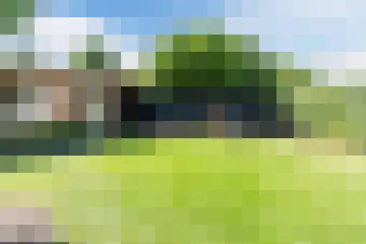 Weth.Zonnenbergstraat 6 Nieuwleusen thumbnail 36