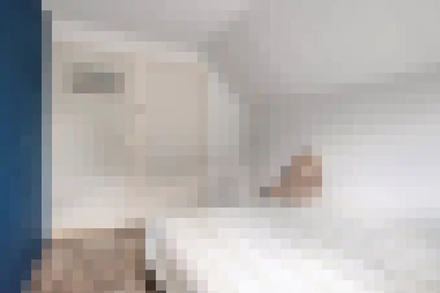 Weth.Zonnenbergstraat 6 Nieuwleusen thumbnail 36