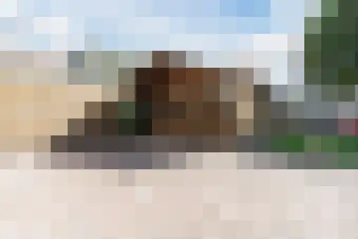 Weth.Zonnenbergstraat 6 Nieuwleusen thumbnail 37
