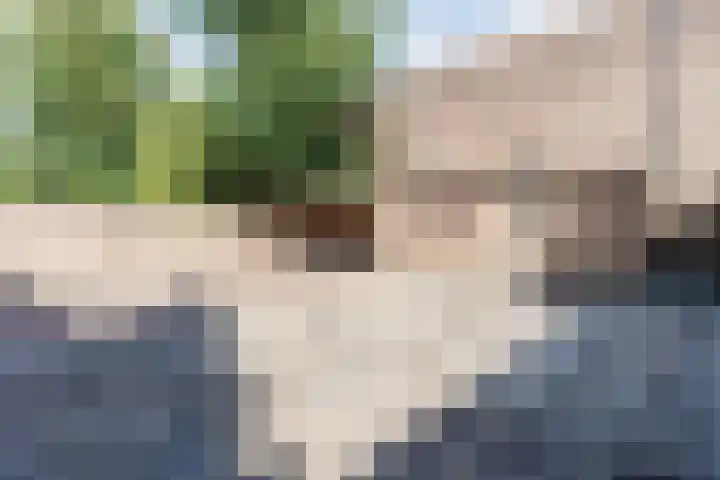 Weth.Zonnenbergstraat 6 Nieuwleusen thumbnail 38