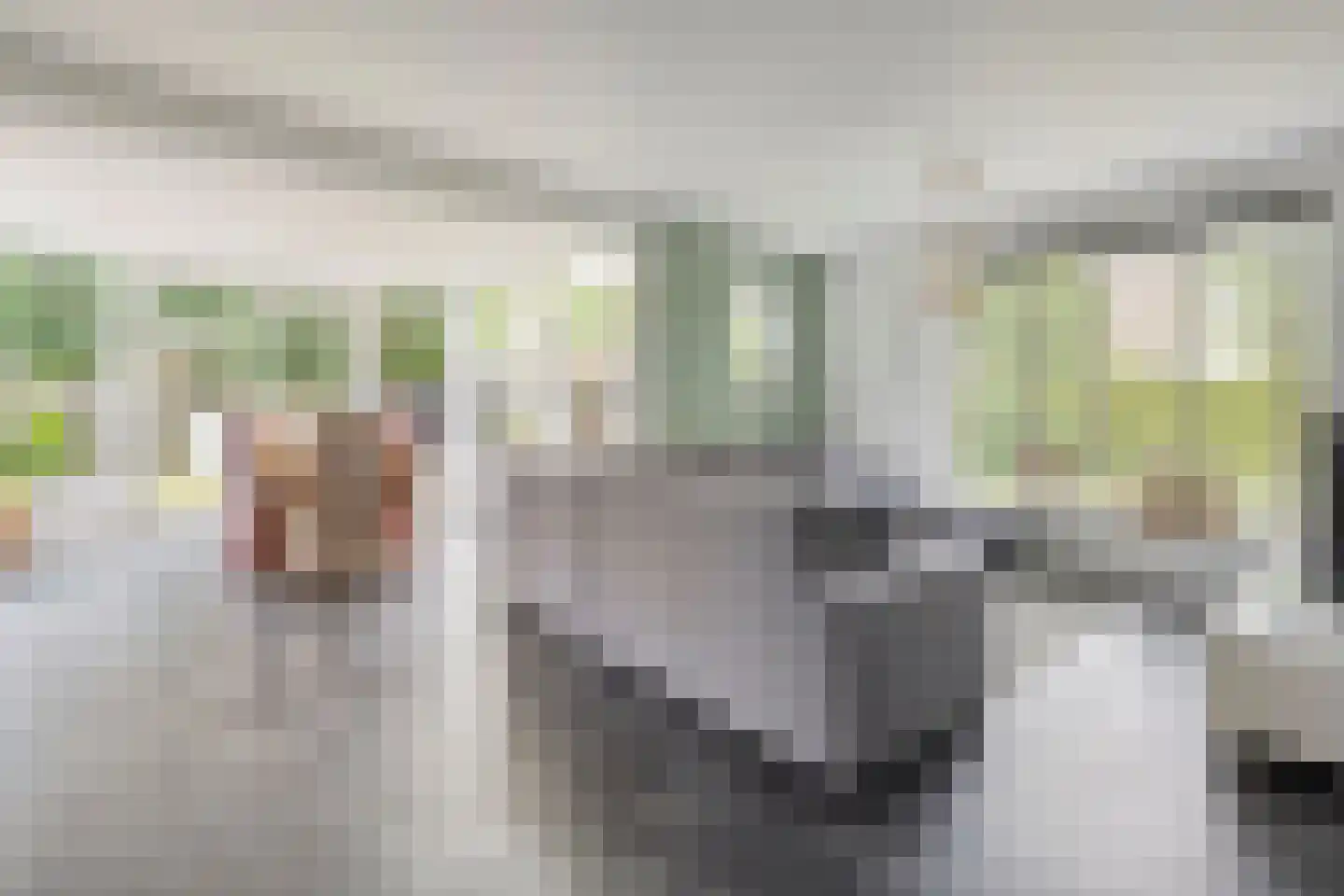 Weth.Zonnenbergstraat 6 Nieuwleusen thumbnail 4