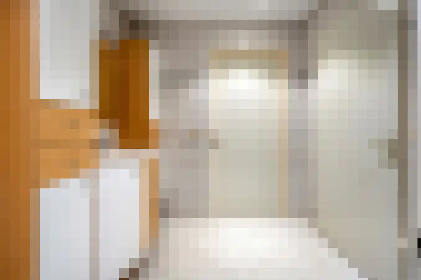 Weth.Zonnenbergstraat 6 Nieuwleusen thumbnail 42