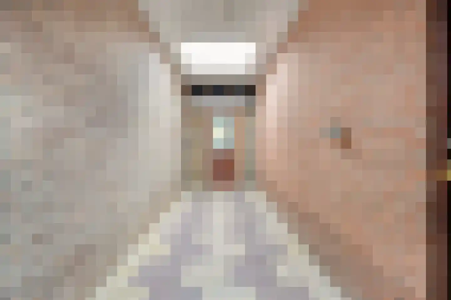 Weth.Zonnenbergstraat 6 Nieuwleusen thumbnail 44