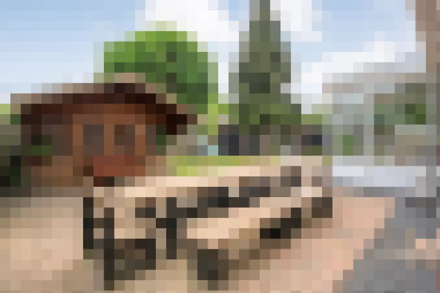 Weth.Zonnenbergstraat 6 Nieuwleusen thumbnail 49