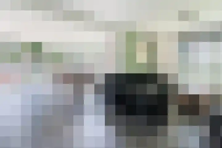 Weth.Zonnenbergstraat 6 Nieuwleusen thumbnail 5