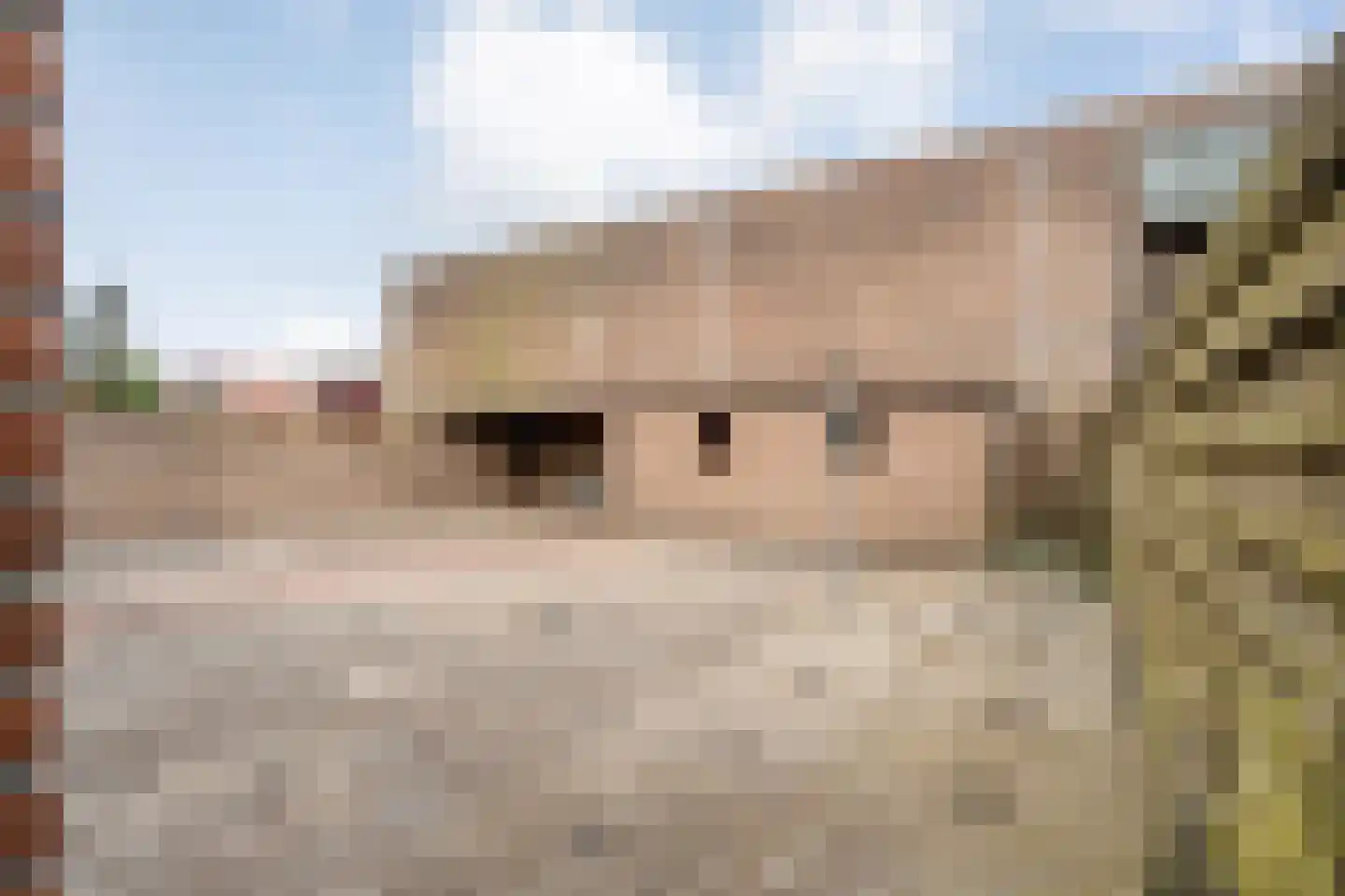 Weth.Zonnenbergstraat 6 Nieuwleusen thumbnail 50