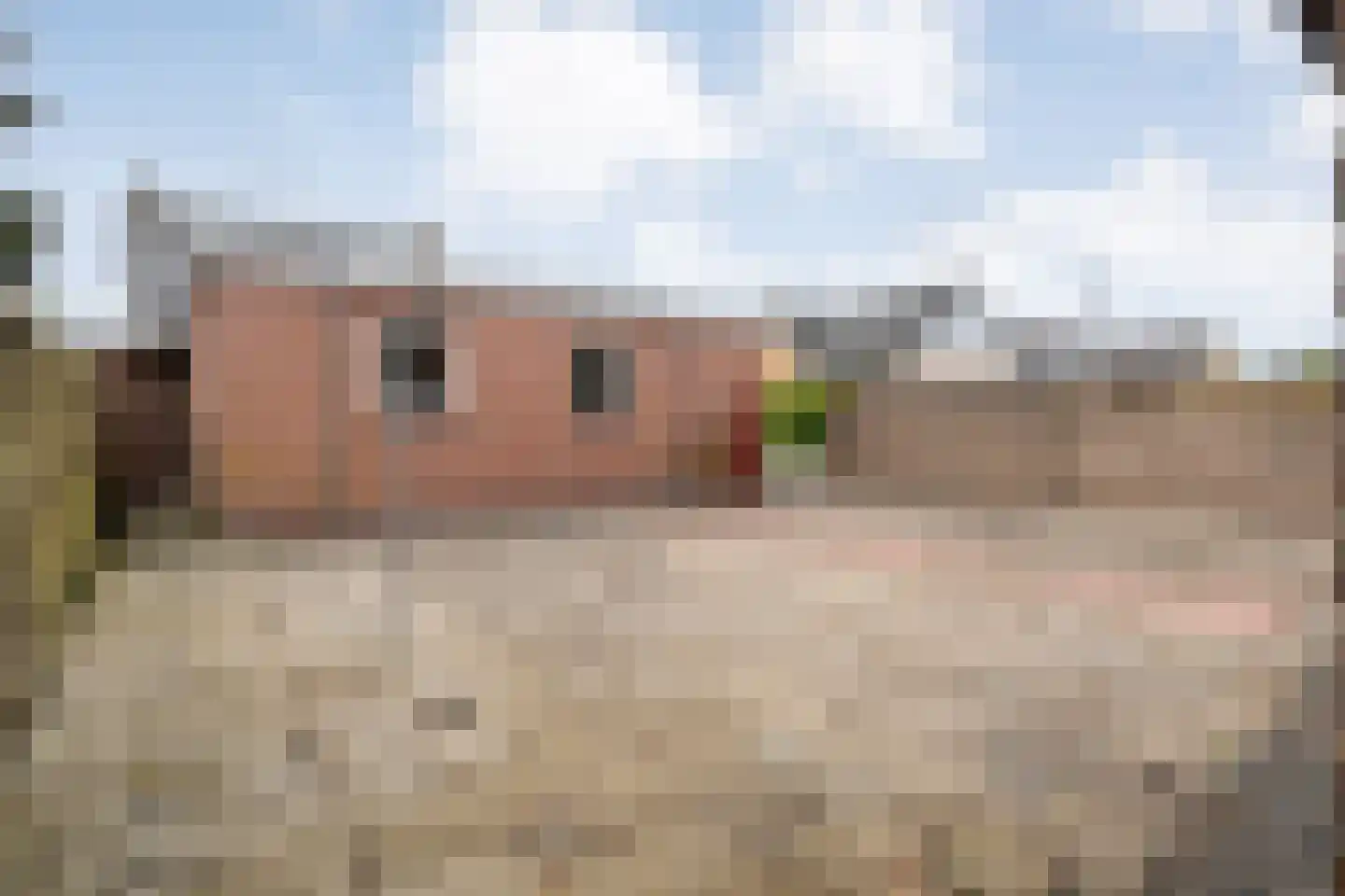 Weth.Zonnenbergstraat 6 Nieuwleusen thumbnail 51