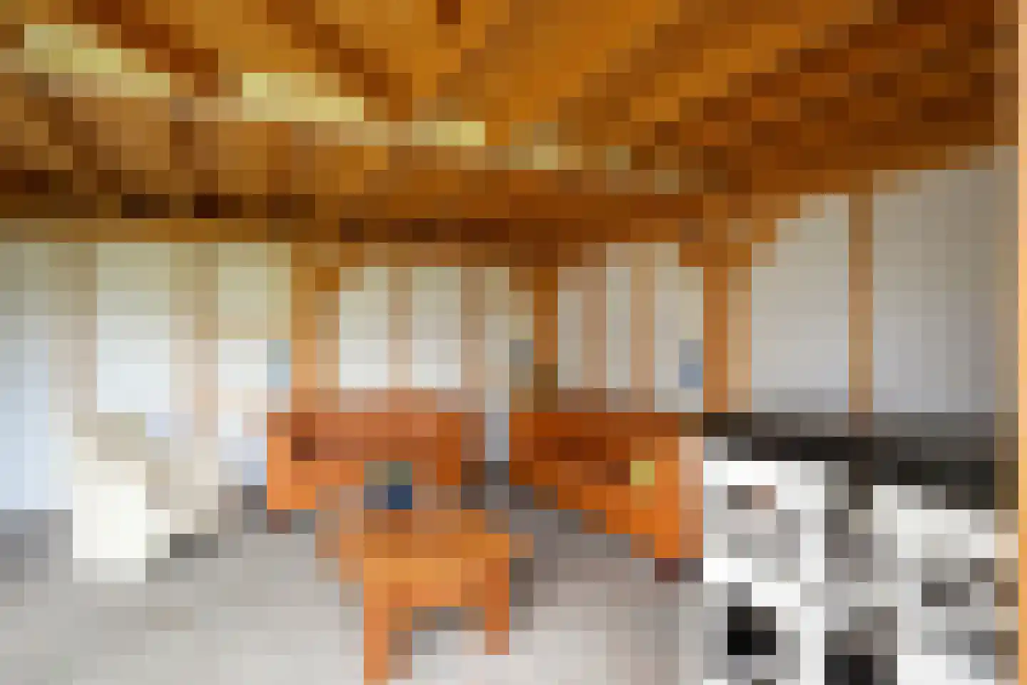 Weth.Zonnenbergstraat 6 Nieuwleusen thumbnail 53