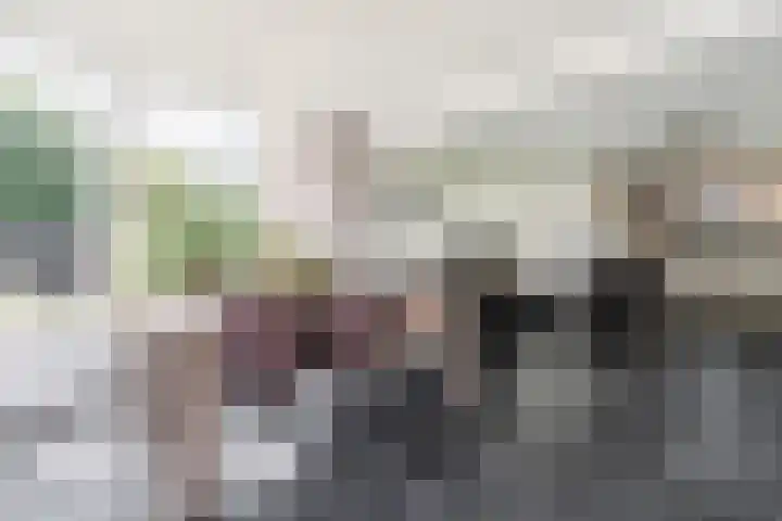 Weth.Zonnenbergstraat 6 Nieuwleusen thumbnail 6
