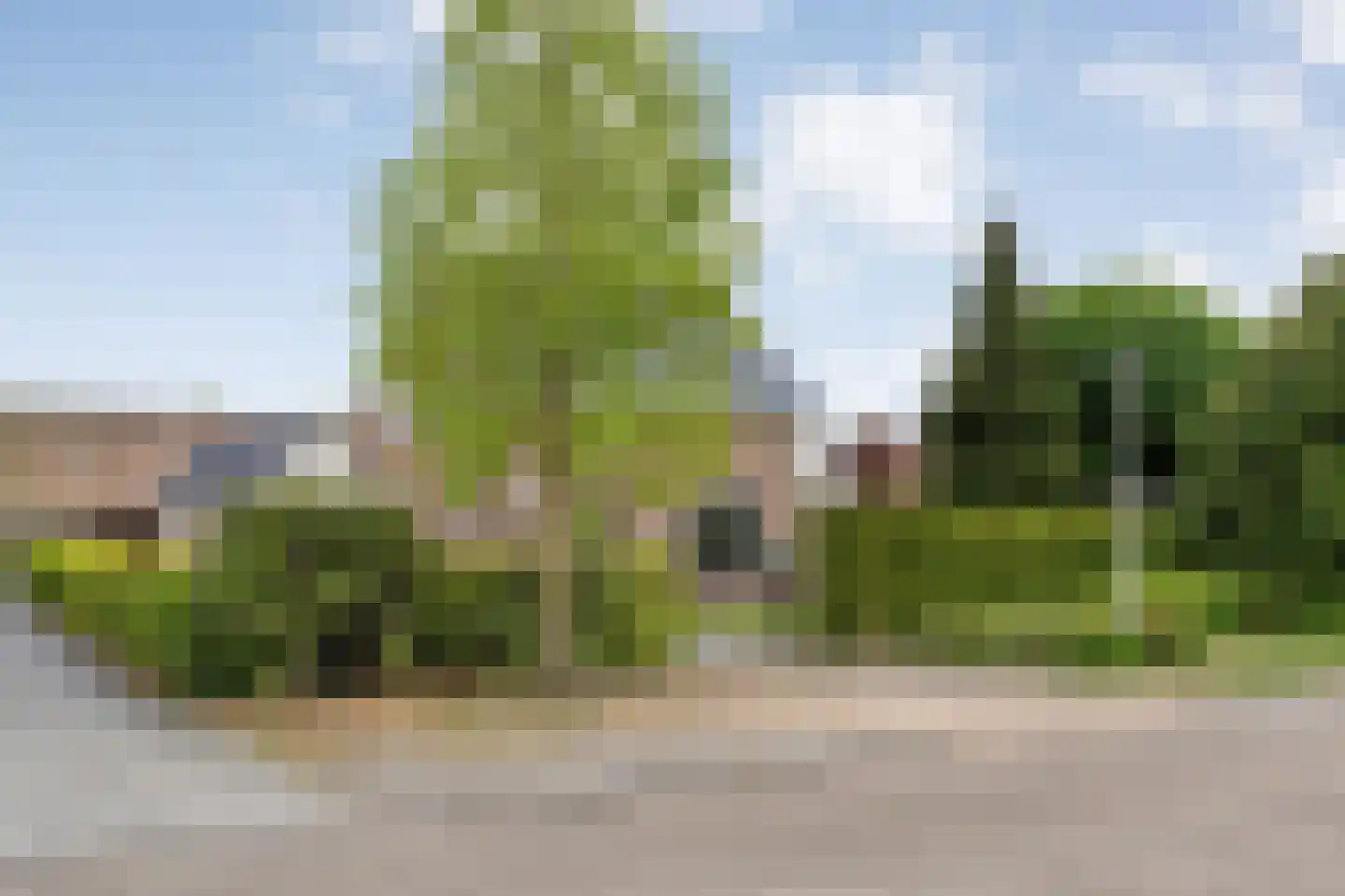 Weth.Zonnenbergstraat 6 Nieuwleusen thumbnail 6