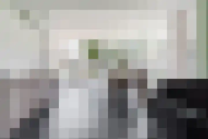 Weth.Zonnenbergstraat 6 Nieuwleusen thumbnail 7