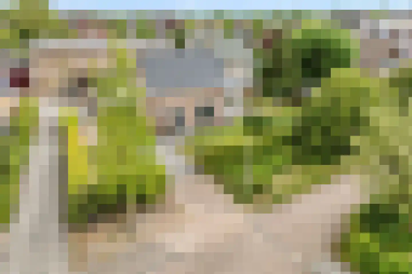 Weth.Zonnenbergstraat 6 Nieuwleusen thumbnail 8