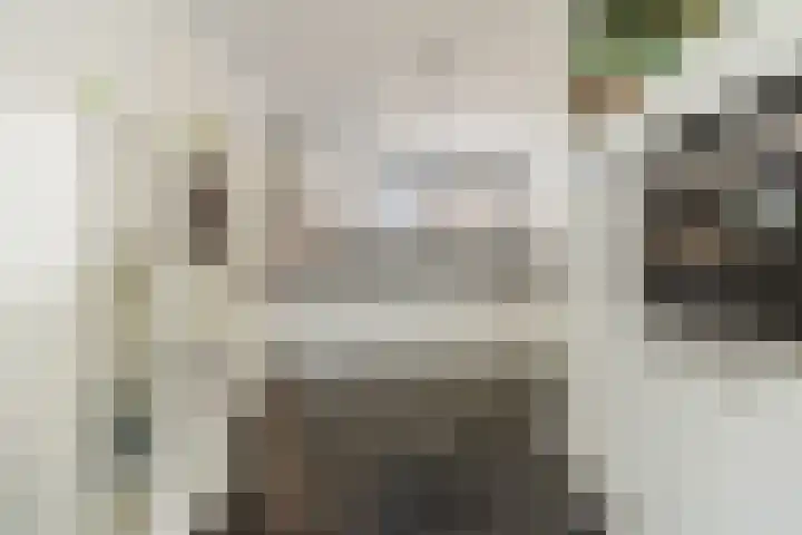Weth.Zonnenbergstraat 6 Nieuwleusen thumbnail 9
