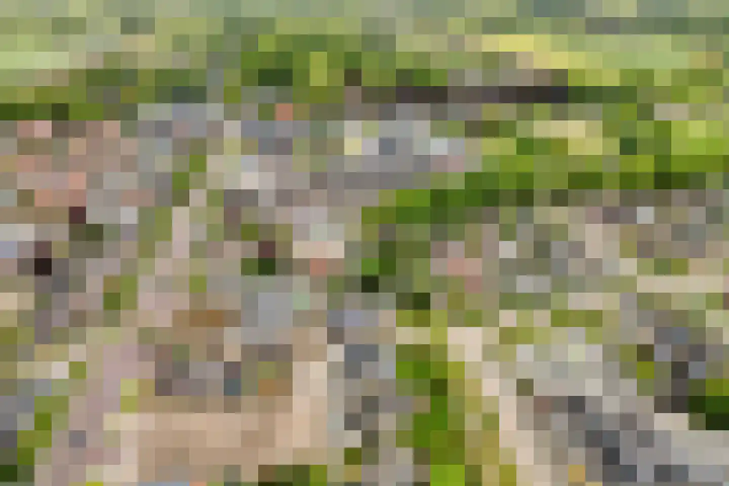 Weth.Zonnenbergstraat 6 Nieuwleusen thumbnail 9