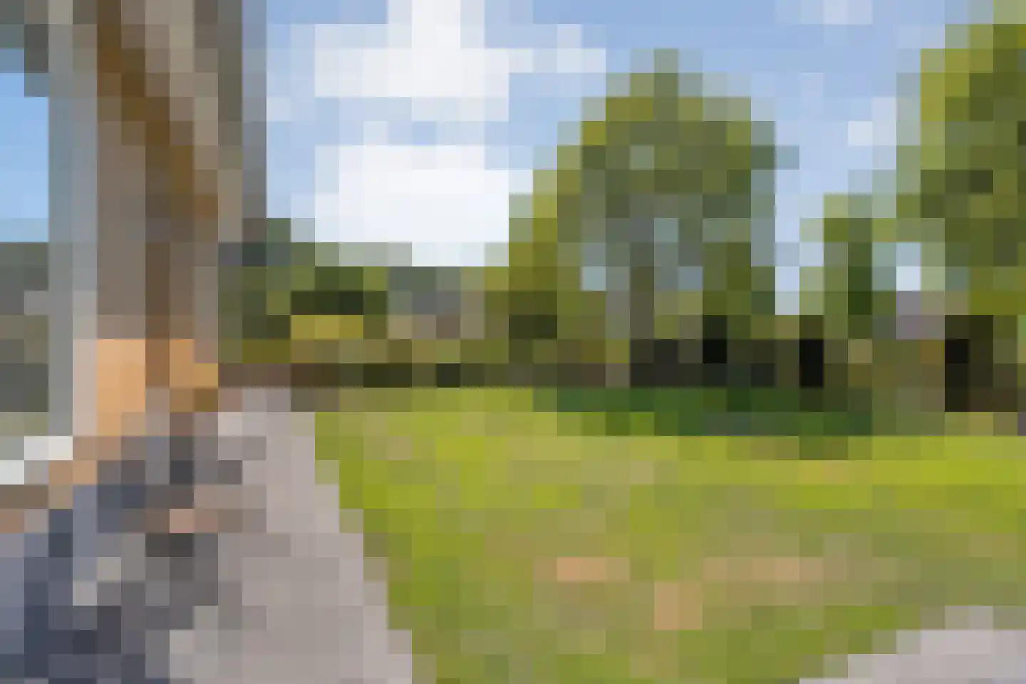 Weth.Zonnenbergstraat 8 Nieuwleusen thumbnail 12