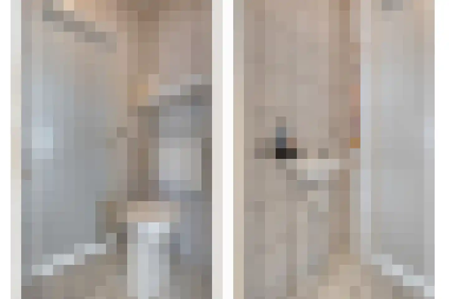 Weth.Zonnenbergstraat 8 Nieuwleusen thumbnail 18