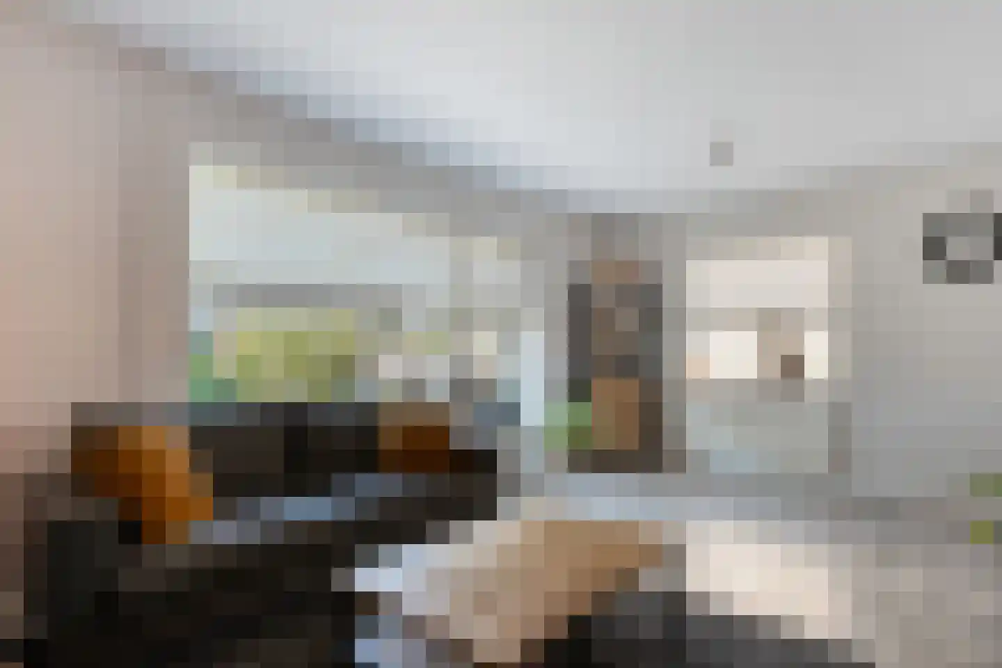 Weth.Zonnenbergstraat 8 Nieuwleusen thumbnail 19