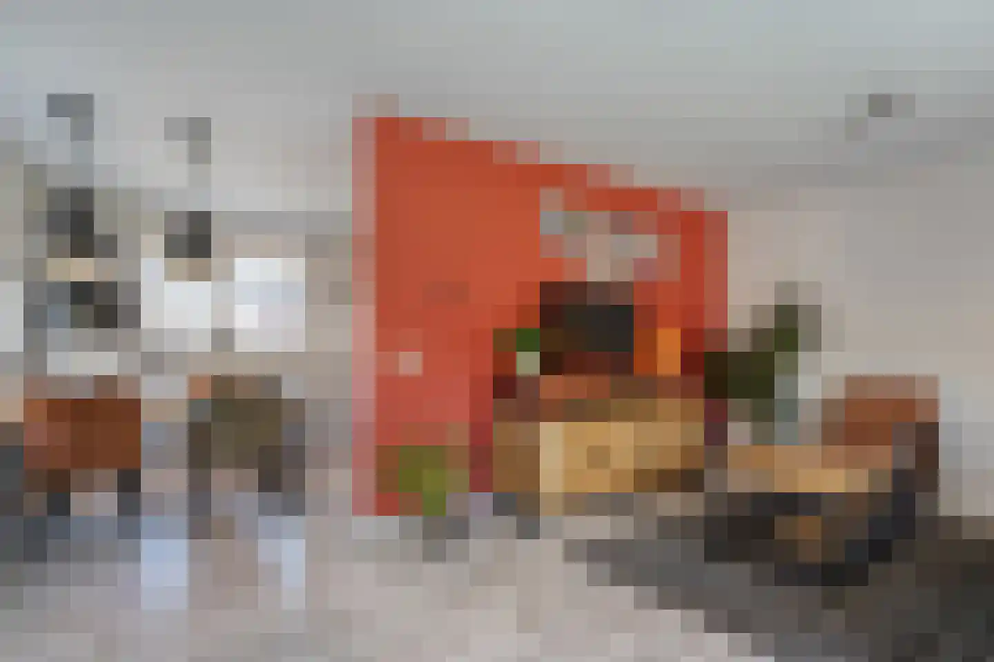 Weth.Zonnenbergstraat 8 Nieuwleusen thumbnail 21
