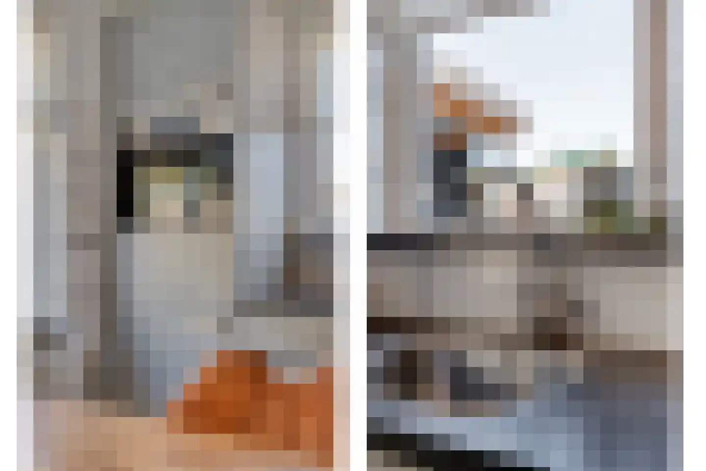 Weth.Zonnenbergstraat 8 Nieuwleusen thumbnail 25