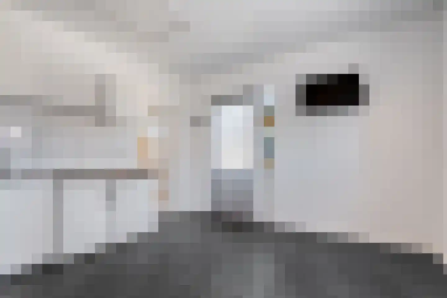 Weth.Zonnenbergstraat 8 Nieuwleusen thumbnail 27