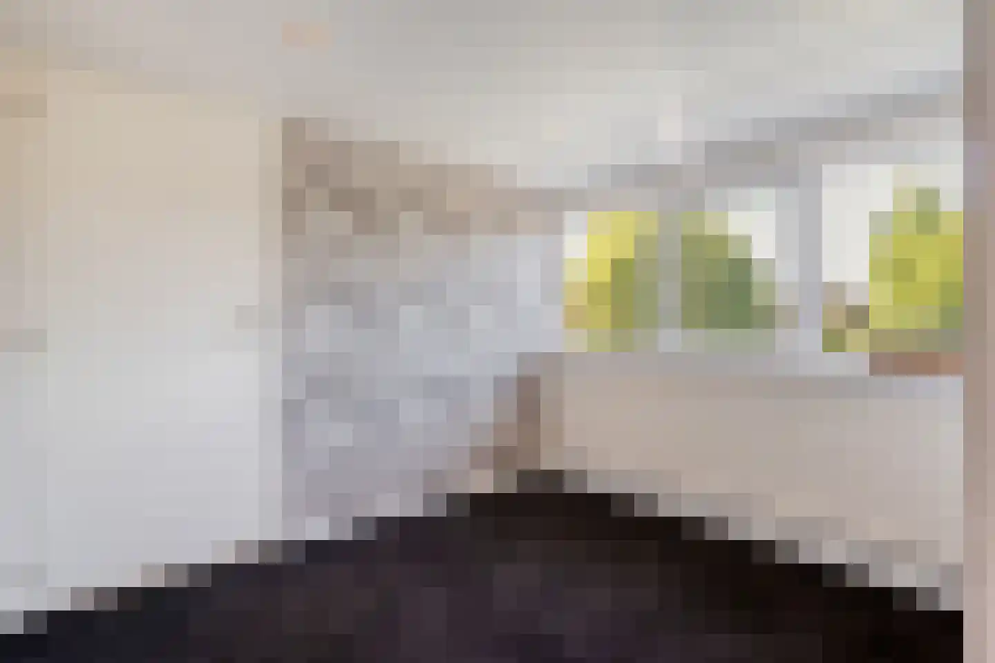 Weth.Zonnenbergstraat 8 Nieuwleusen thumbnail 31