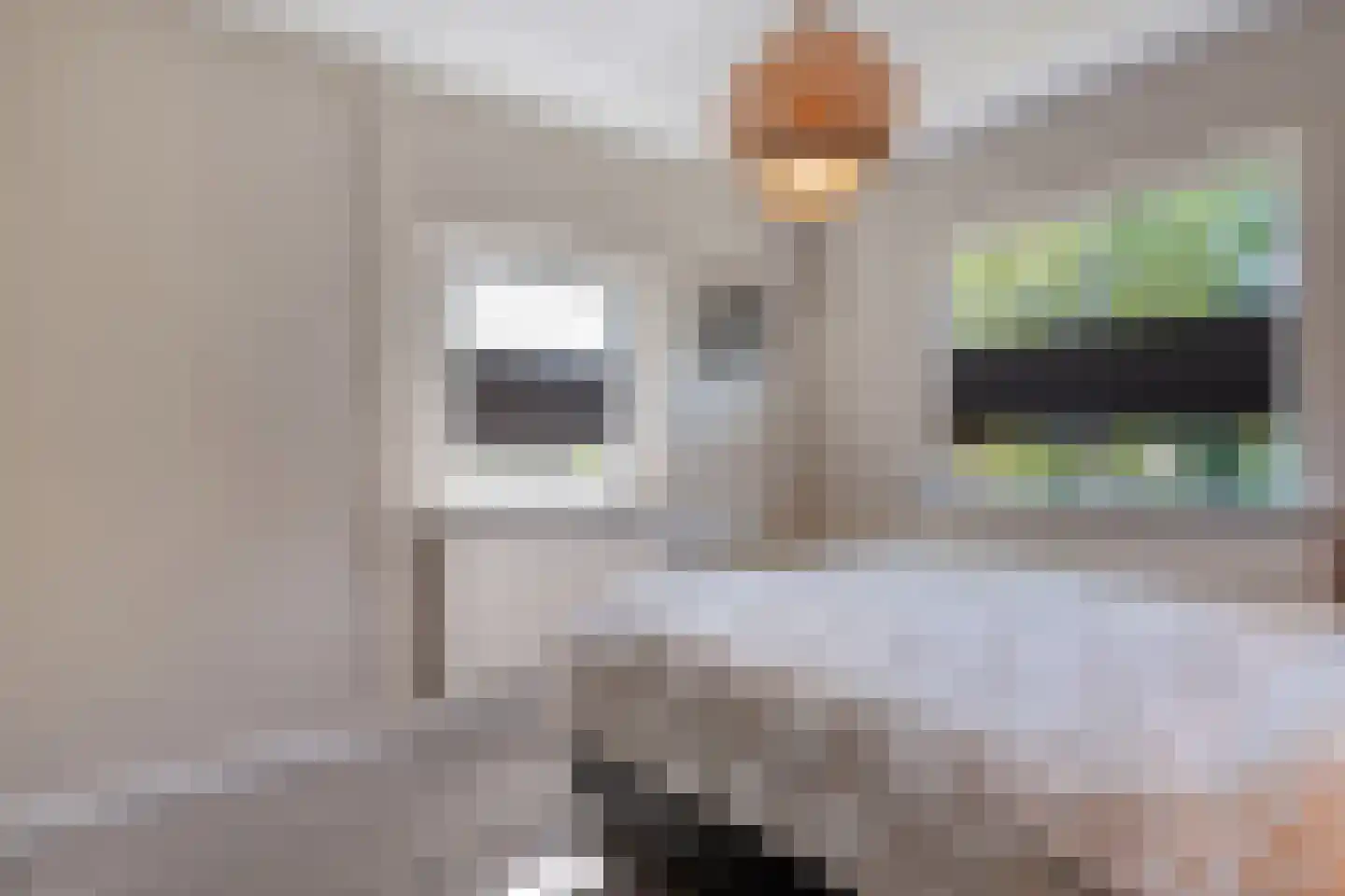 Weth.Zonnenbergstraat 8 Nieuwleusen thumbnail 32