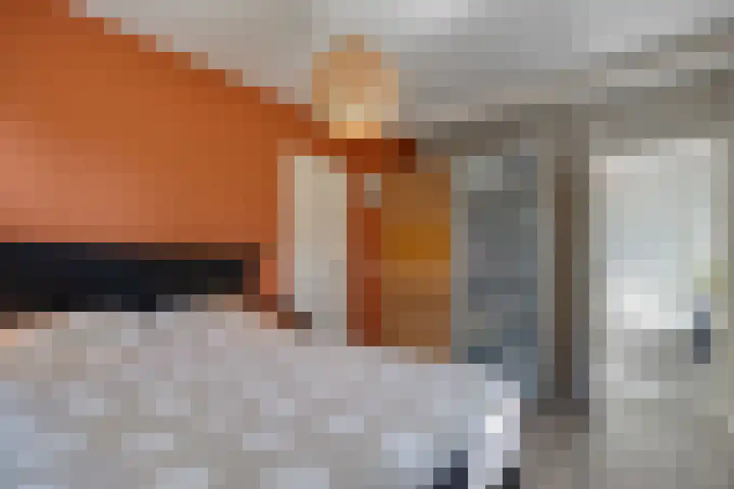 Weth.Zonnenbergstraat 8 Nieuwleusen thumbnail 33