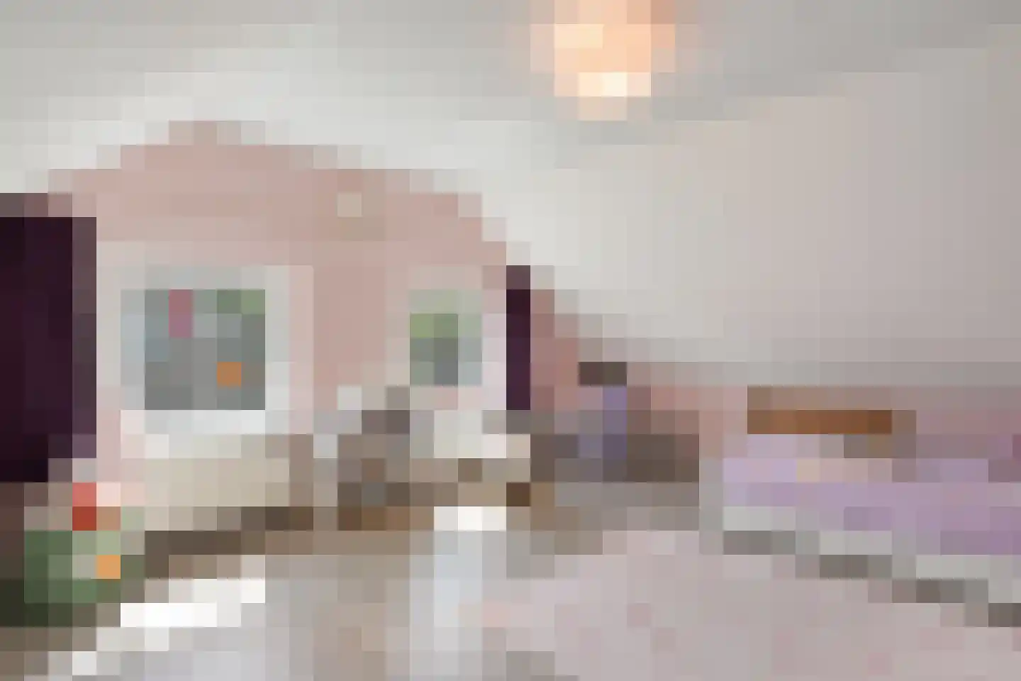 Weth.Zonnenbergstraat 8 Nieuwleusen thumbnail 34