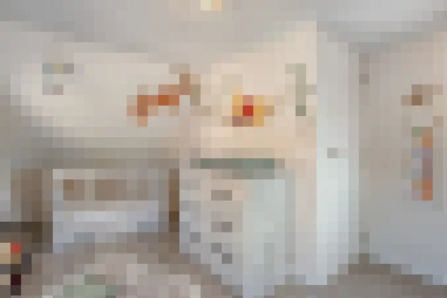 Weth.Zonnenbergstraat 8 Nieuwleusen thumbnail 36