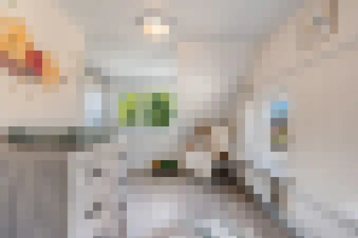 Weth.Zonnenbergstraat 8 Nieuwleusen thumbnail 37