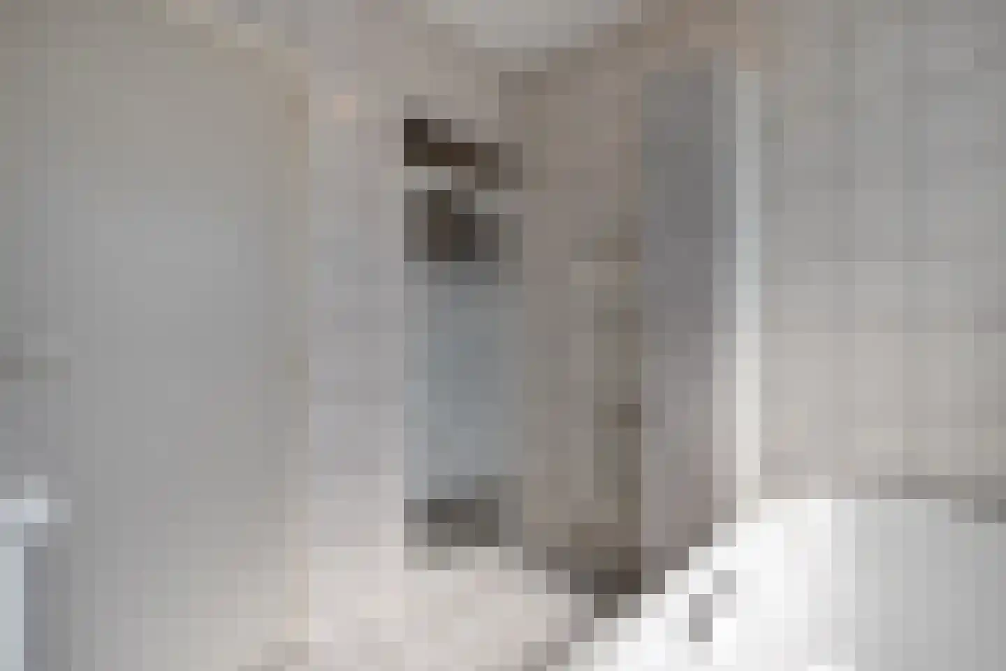 Weth.Zonnenbergstraat 8 Nieuwleusen thumbnail 38