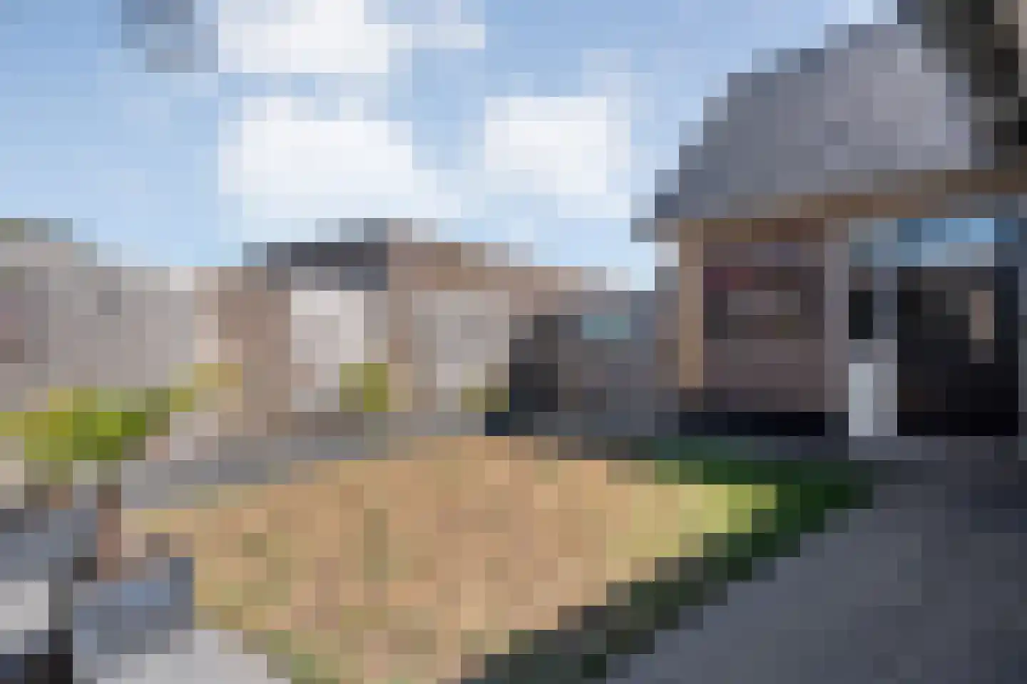 Weth.Zonnenbergstraat 8 Nieuwleusen thumbnail 43