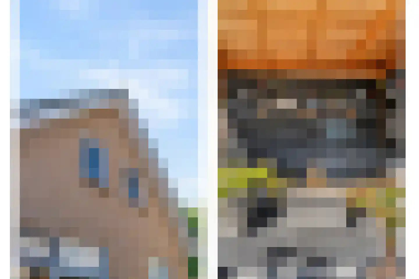 Weth.Zonnenbergstraat 8 Nieuwleusen thumbnail 47