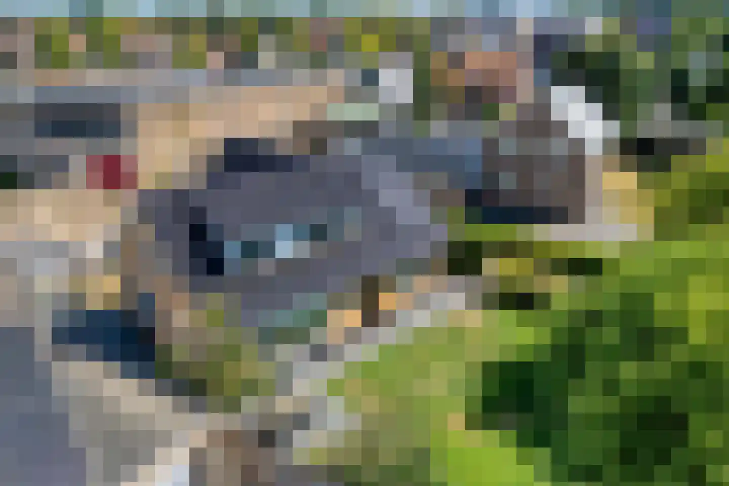 Weth.Zonnenbergstraat 8 Nieuwleusen thumbnail 6