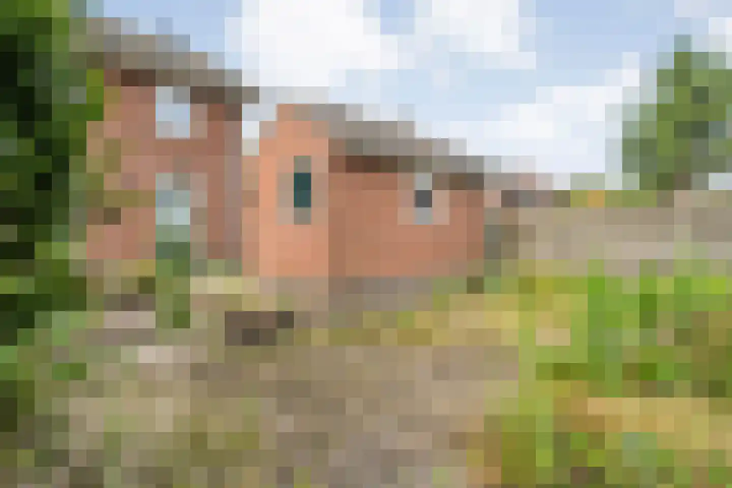 Wethouder A.G. Dekkerlaan 22 Olst thumbnail 46