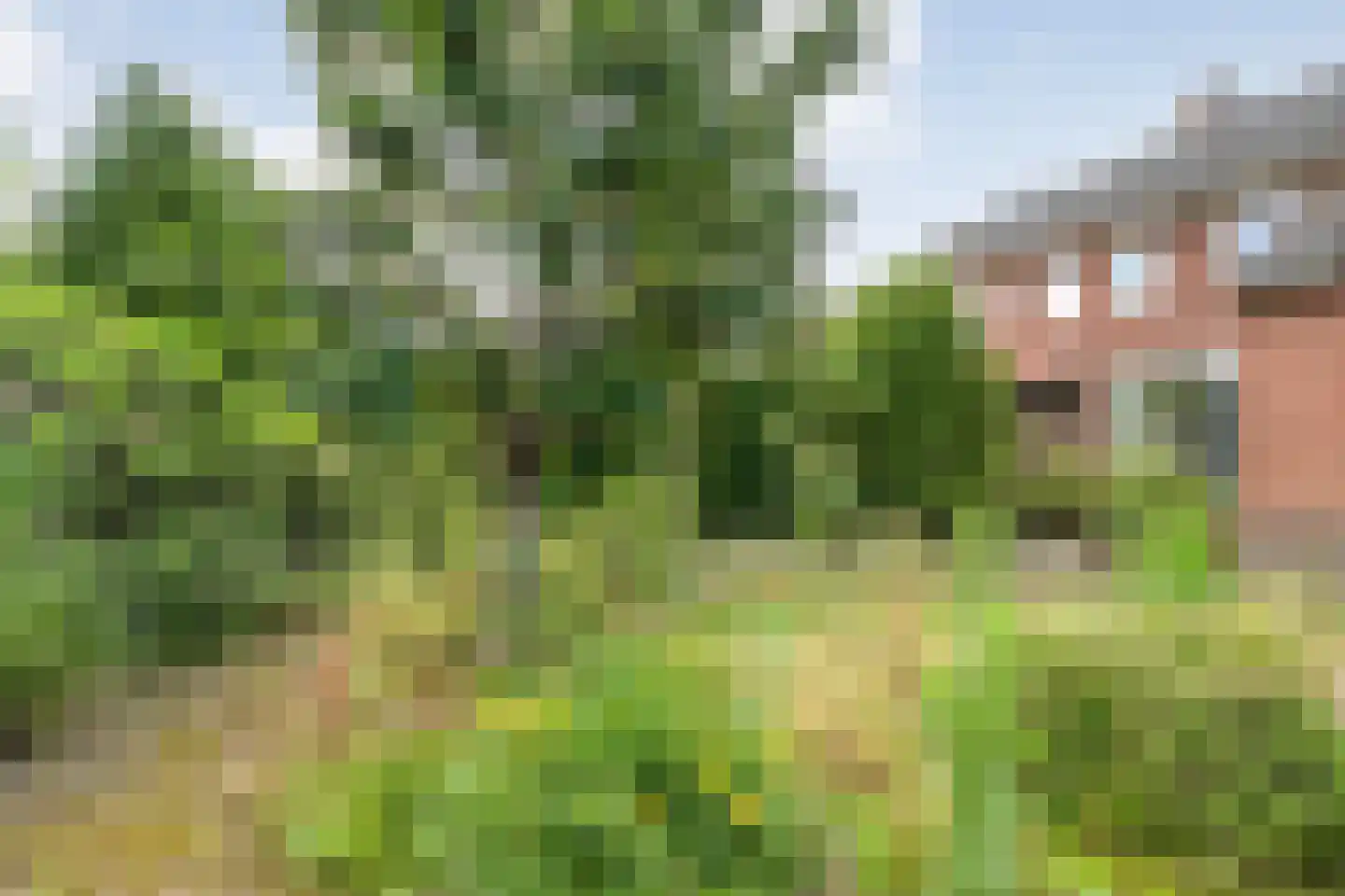Wethouder A.G. Dekkerlaan 22 Olst thumbnail 48