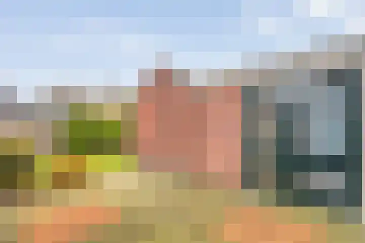 Wethouder A.G. Dekkerlaan 24 Olst thumbnail 31