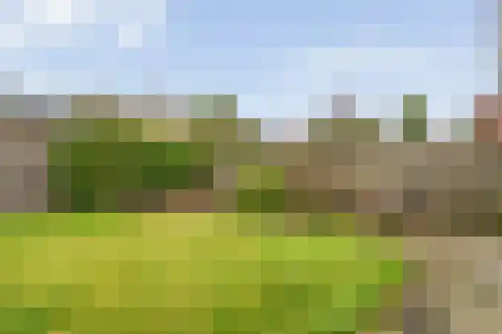 Wethouder A.G. Dekkerlaan 24 Olst thumbnail 33