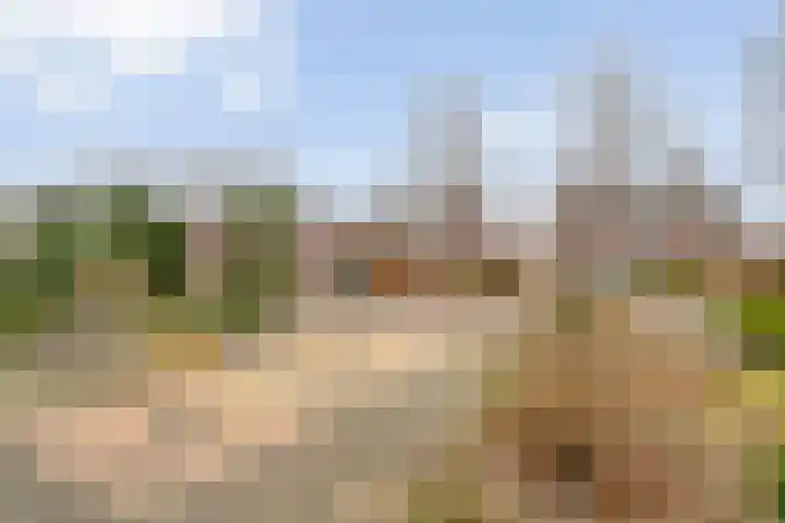 Wethouder A.G. Dekkerlaan 24 Olst thumbnail 37