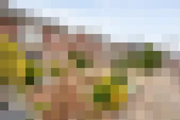 Wethouder A.G. Dekkerlaan 24 Olst thumbnail 4