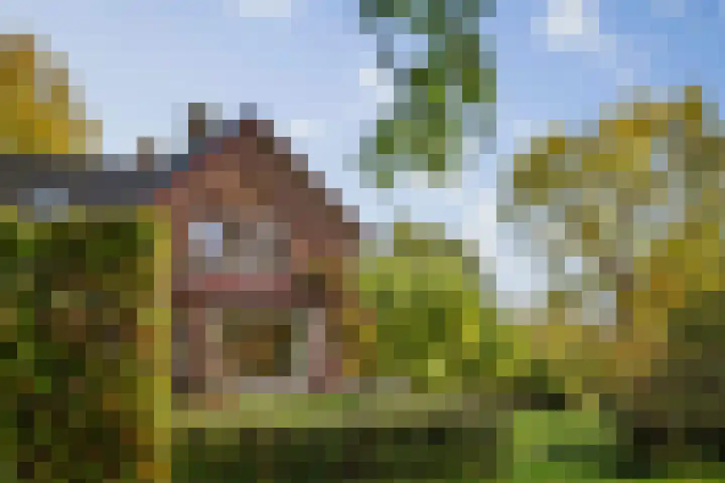 Wethouder A.G. Dekkerlaan 38 Olst thumbnail 4
