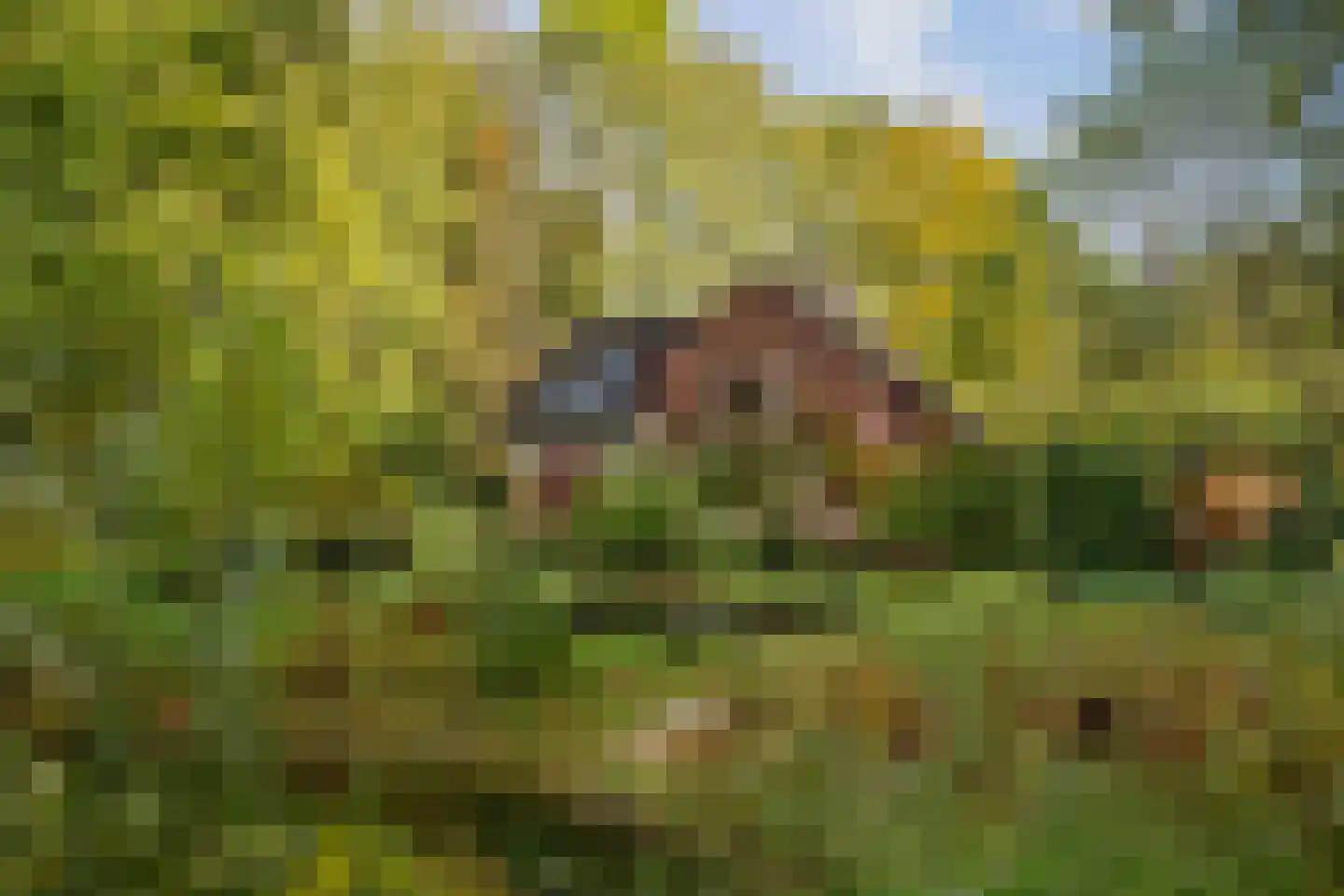 Wethouder A.G. Dekkerlaan 38 Olst thumbnail 54